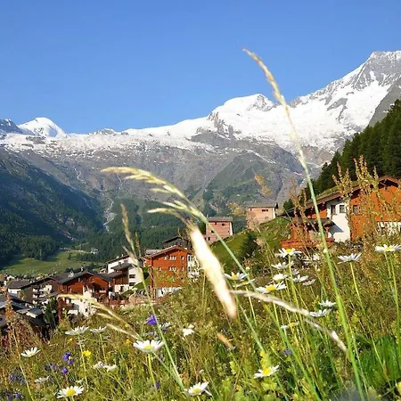 Aster Appartement-fewo- Bad- Wc- 2 Schlafraeume 4-bettwohnung By Interhome Saas-Fee