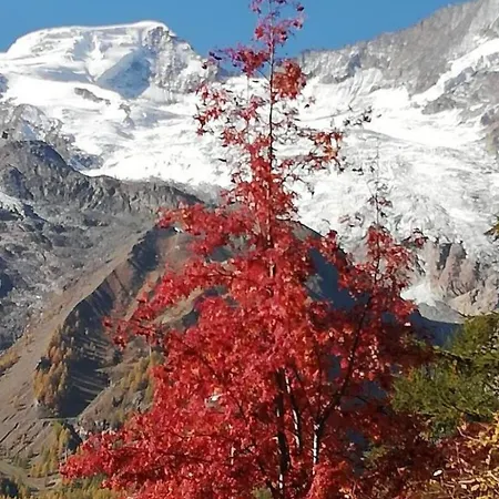 Aster Appartement-fewo- Bad- Wc- 2 Schlafraeume 4-bettwohnung By Interhome Saas-Fee